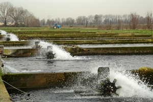 Pesca: decreto proroga al 31 dicembre 2026 l’obbligo di polizza catastrofi.